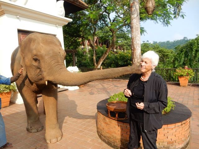 Elephants in Paradise - Kiss Kiss
