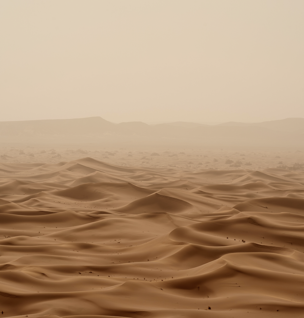 Desert Life