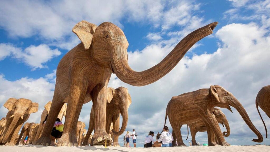 Elephants