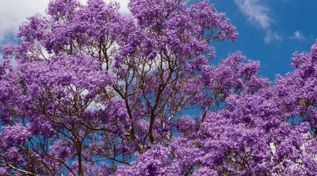 Getting Real Down Today