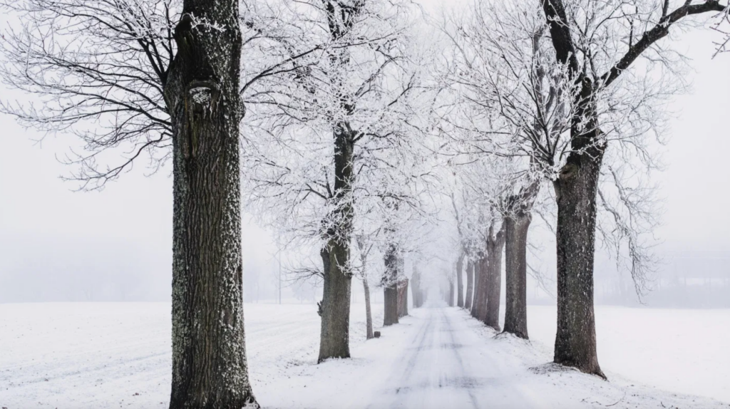 It's Tough At the End of the Day